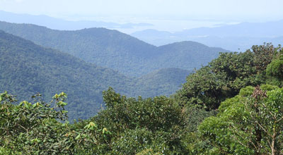 Tropical forests like this one in the Serra do Mar Paranaense in Brazil may be absorbing far more human-emitted carbon dioxide than many scientists thought. (Photo by Deyvid Setti e Eloy Olindo Setti via Wikimedia Commons.)